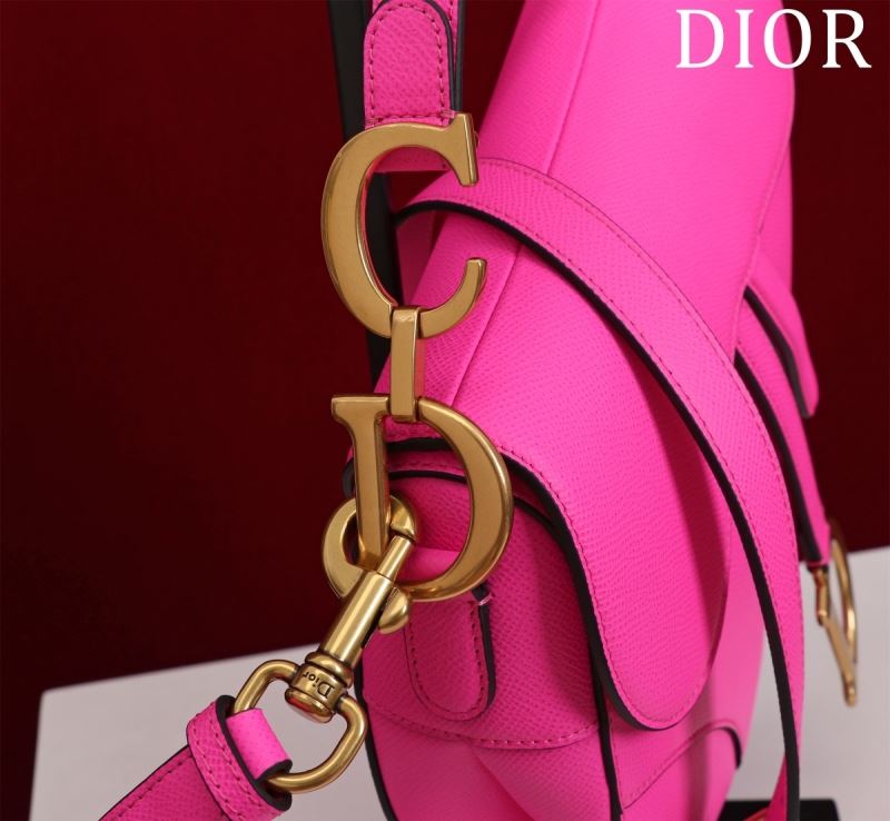 Christian Dior Saddle Bags